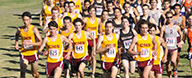 Thumbnail photo for the Cross Country @ SCIAC (11-2-13) gallery