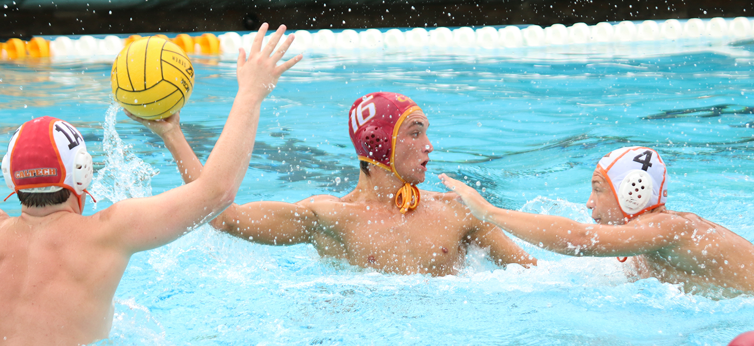 Home Sweet Home: Stags Take Two in Axelrood Pool