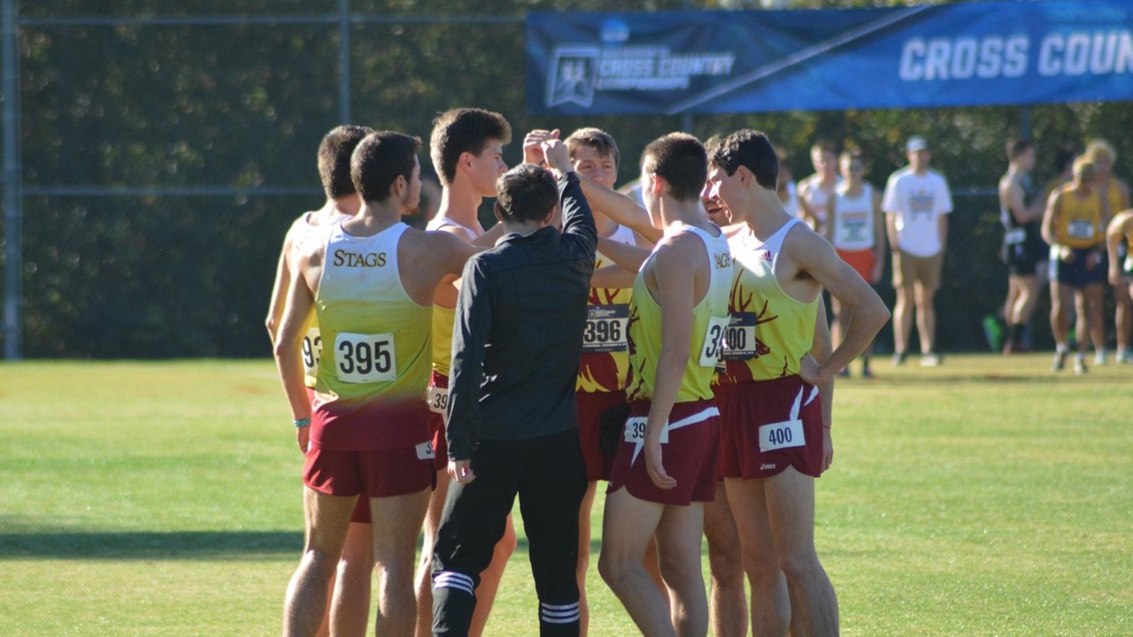 The CMS men's cross country team huddles before the NCAA Regionals