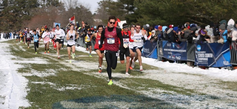 Thumbnail photo for the MXC at NCAA DIII Championships gallery
