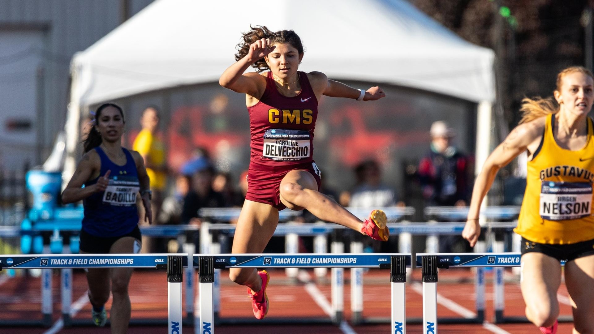 Caroline DelVecchio made the 400H finals for the second straight year (photo by Aaron Brewer)