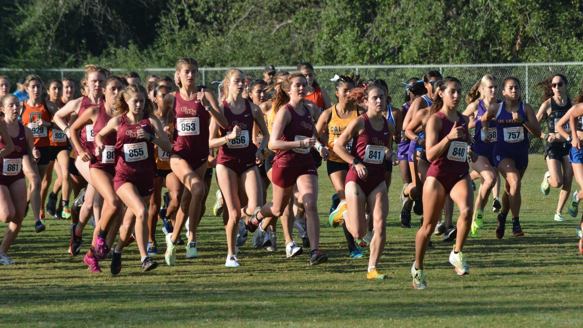 CMS is chasing its own second-place NCAA finish from a year ago