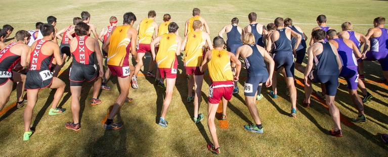 Thumbnail photo for the Cross Country at NCAA Regionals (11/14/15) gallery