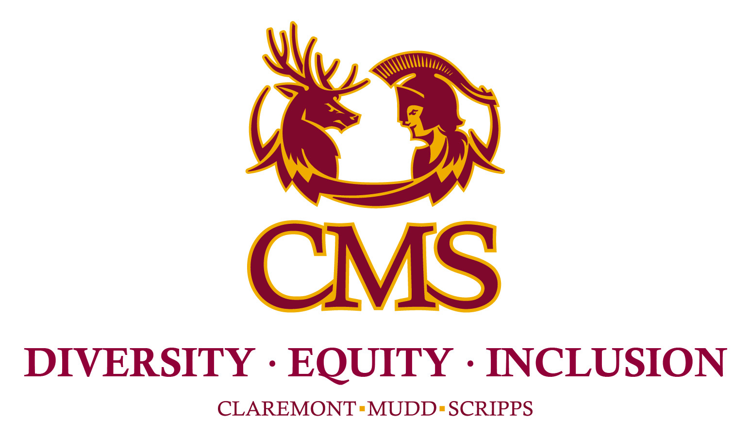 CMS DEI Logo